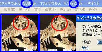クリオロフォサウルス比較2　500VS72 70＊.jpg